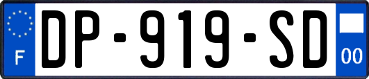 DP-919-SD