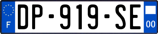 DP-919-SE