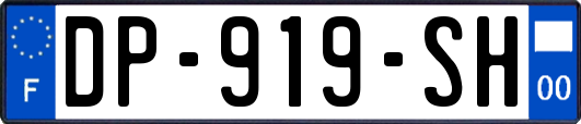DP-919-SH