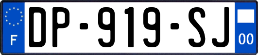 DP-919-SJ