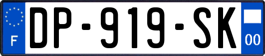 DP-919-SK