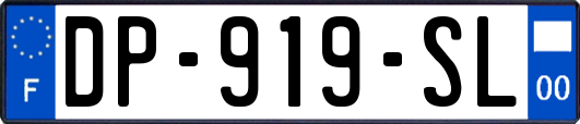 DP-919-SL