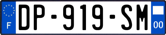 DP-919-SM