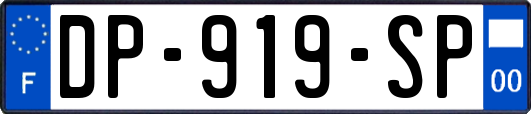 DP-919-SP