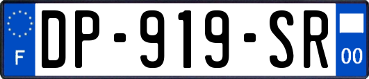 DP-919-SR