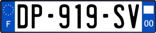 DP-919-SV