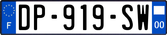 DP-919-SW