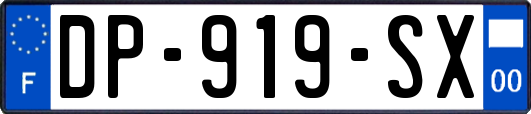 DP-919-SX