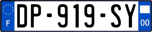 DP-919-SY