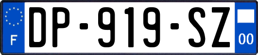 DP-919-SZ