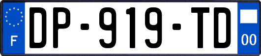 DP-919-TD