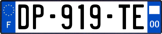 DP-919-TE