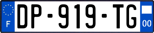 DP-919-TG