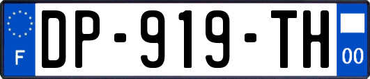 DP-919-TH