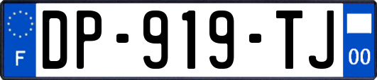 DP-919-TJ