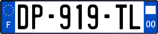 DP-919-TL