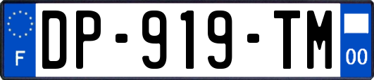 DP-919-TM