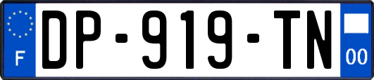 DP-919-TN