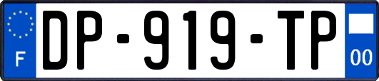 DP-919-TP