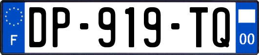 DP-919-TQ