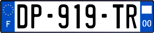 DP-919-TR