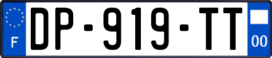 DP-919-TT