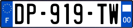 DP-919-TW
