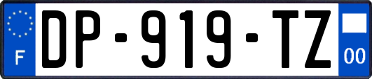 DP-919-TZ