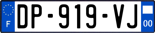 DP-919-VJ
