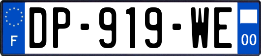 DP-919-WE
