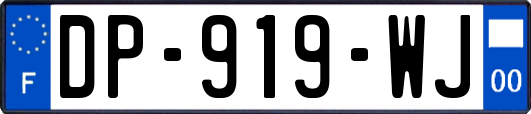 DP-919-WJ