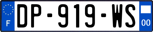 DP-919-WS