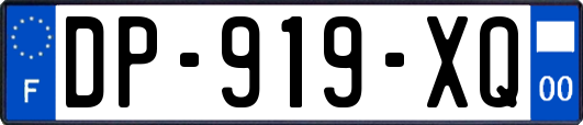 DP-919-XQ