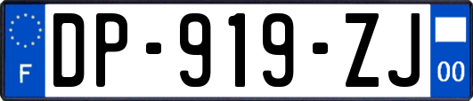 DP-919-ZJ