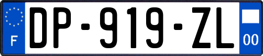 DP-919-ZL