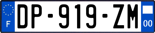 DP-919-ZM