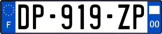 DP-919-ZP