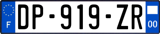 DP-919-ZR