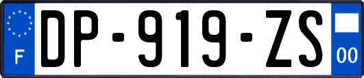 DP-919-ZS