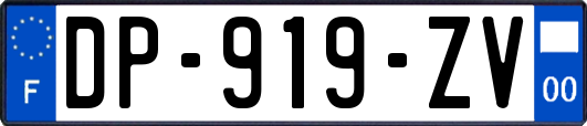 DP-919-ZV