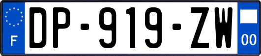 DP-919-ZW