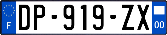 DP-919-ZX