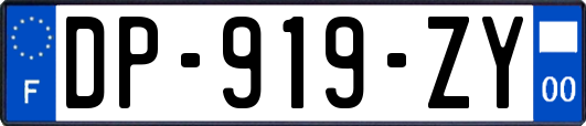 DP-919-ZY