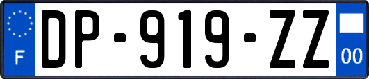 DP-919-ZZ