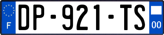 DP-921-TS