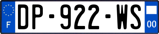 DP-922-WS