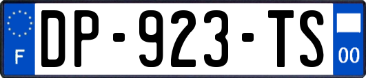 DP-923-TS