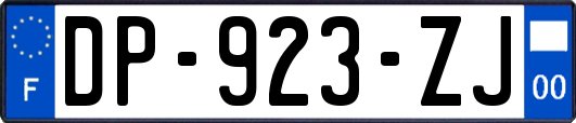 DP-923-ZJ