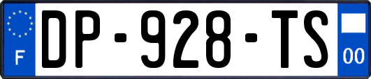 DP-928-TS