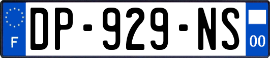 DP-929-NS